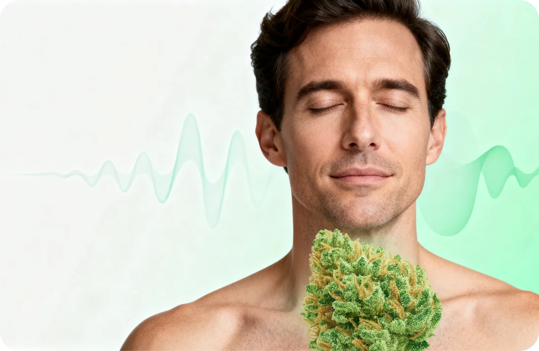 Cannabis bei Panikattacken