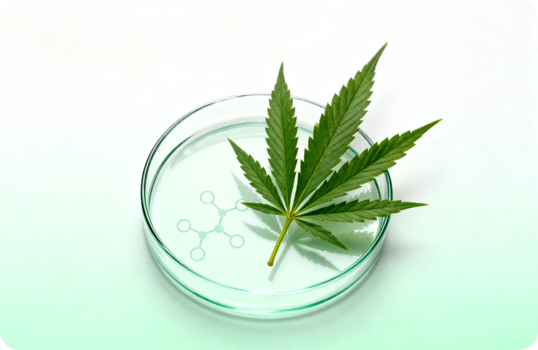 Was sind synthetische Cannabinoide?