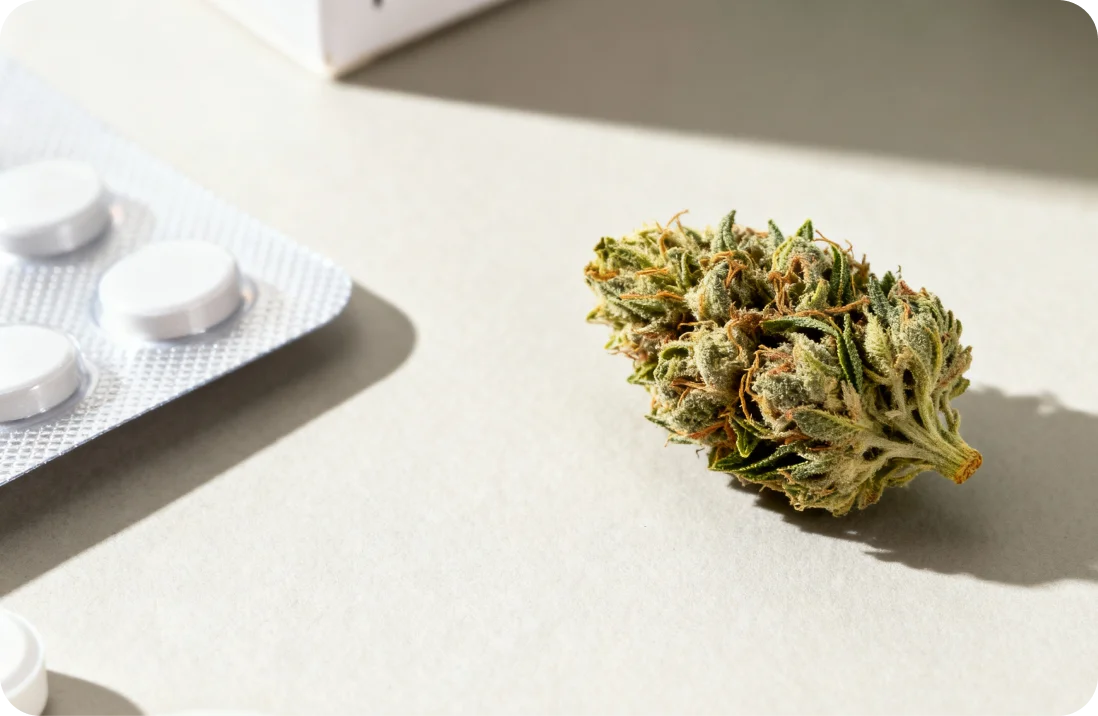 Cannabis-Apotheke: Ist es möglich, medizinisches Cannabis aus der Apotheke zu bekommen?