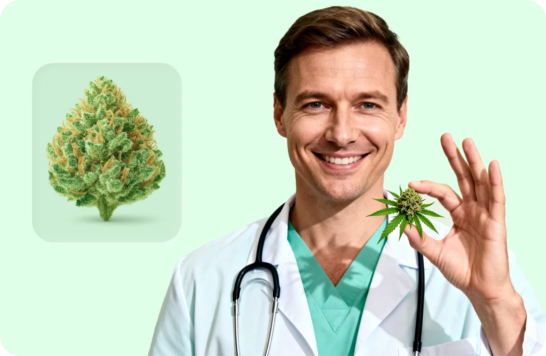 Arzt & Cannabis: Experte für Ihre Cannabinoid-basierte Therapie