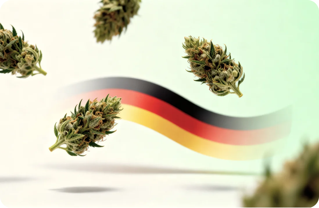 Die Cannabis-Legalisierung in Deutschland