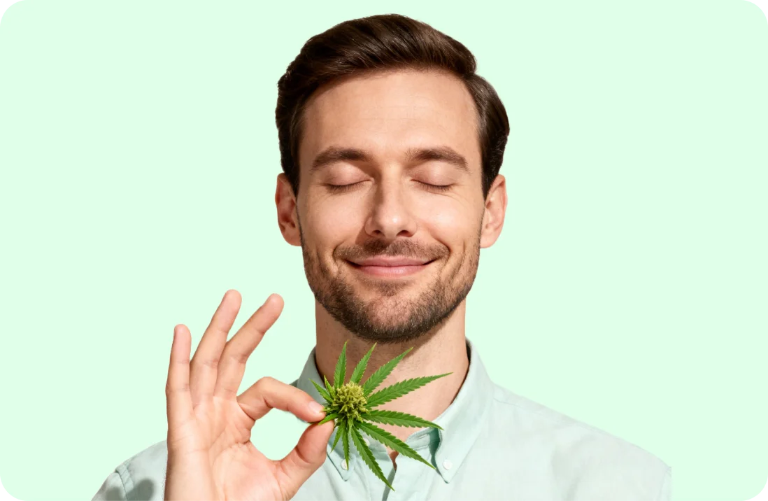 Einblicke in Vorteile und mögliche Risiken der Wirkung von Cannabis