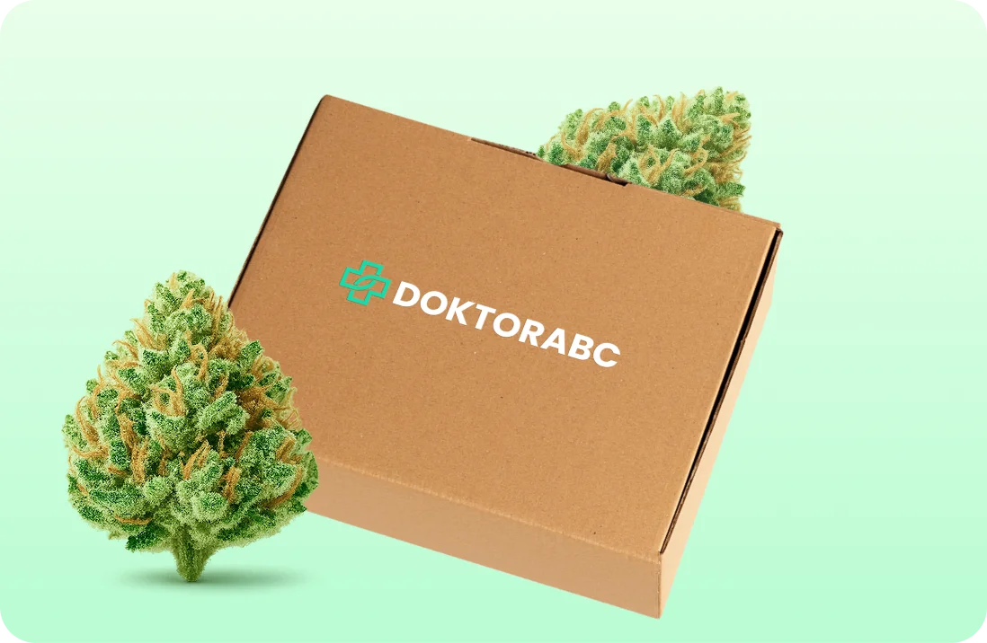 Cannabis-Preise: Wie viel zahlt man in Deutschland?