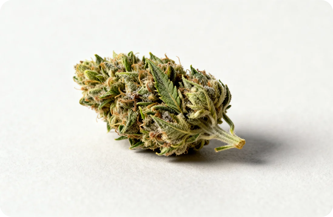 Cannabisblüten: Was sie sind und wie sie wirken