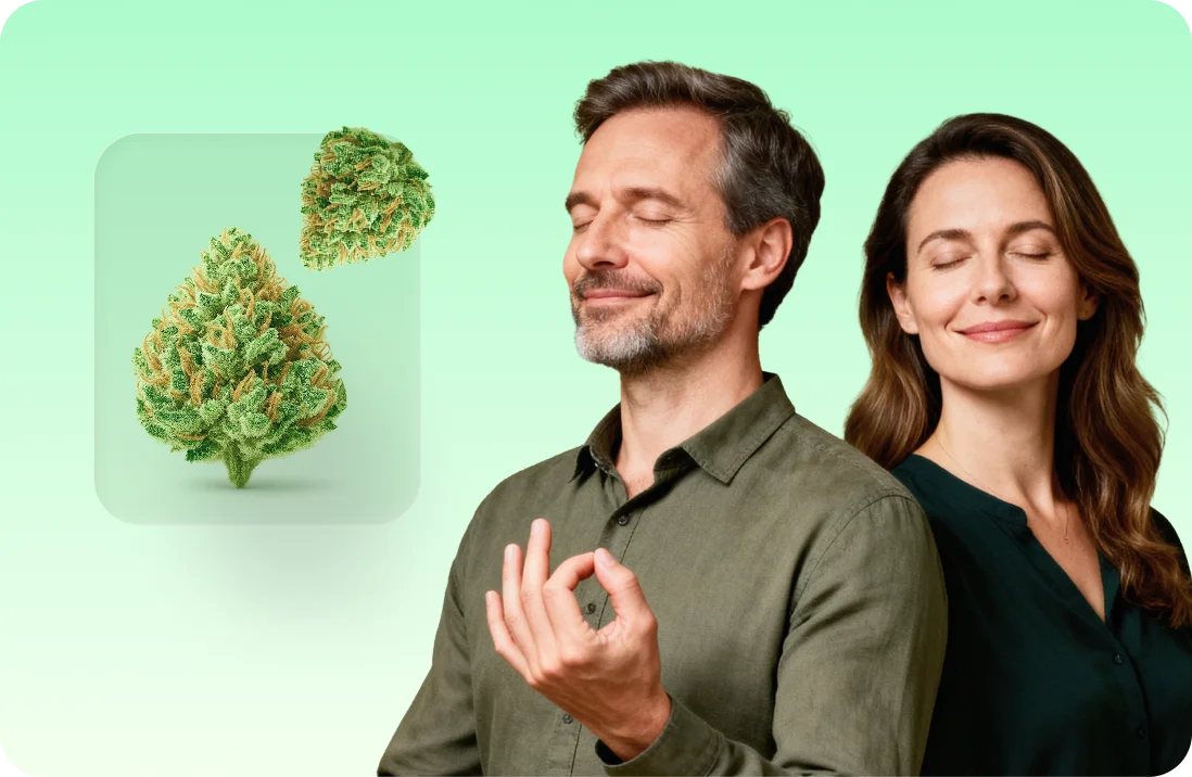 Medizinisches Cannabis- die Erfahrungsberichte der Patienten