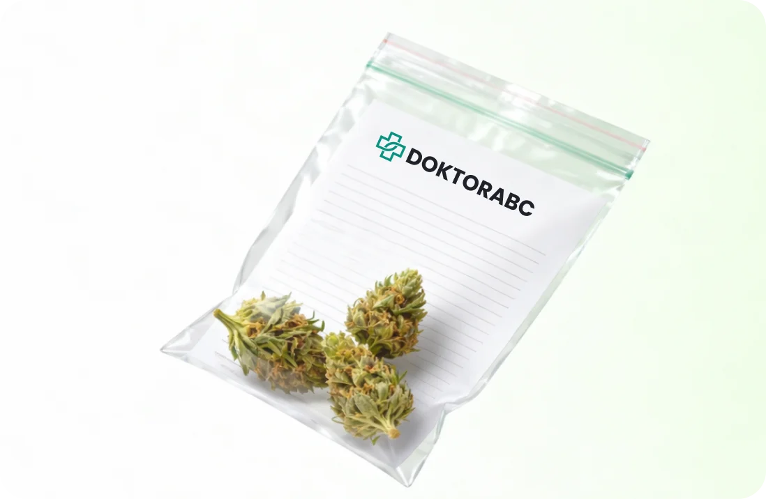 Cannabis Kaufen: Was darf man ab 1. April 2024?