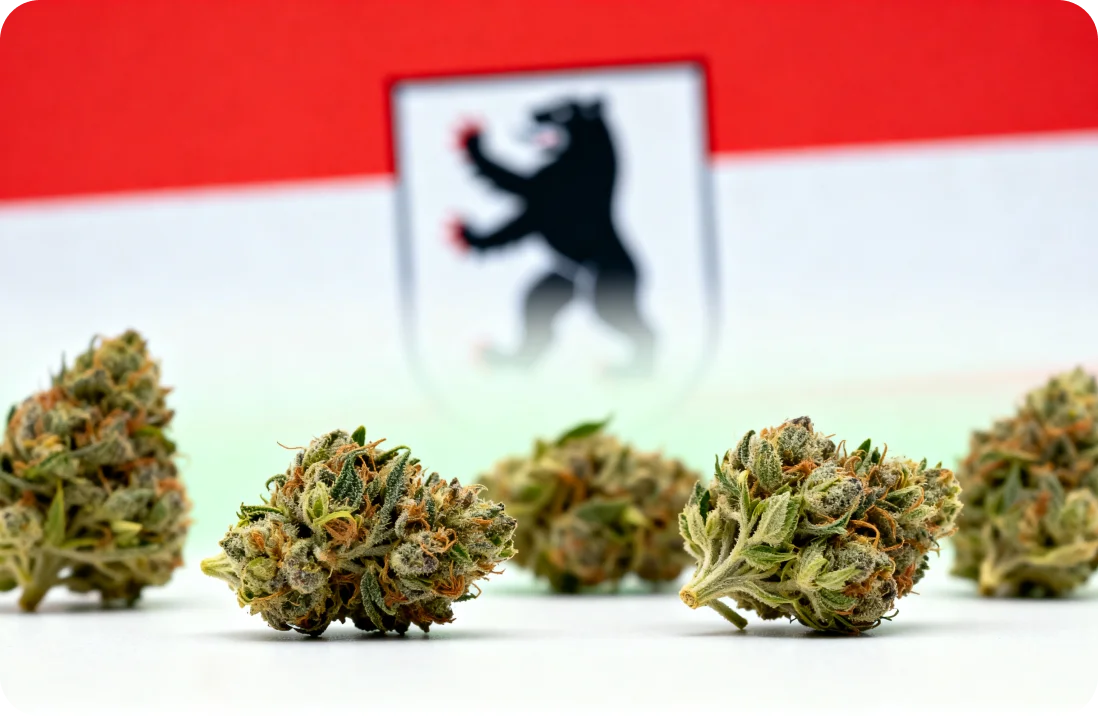 Medizinisches Cannabis in Berlin