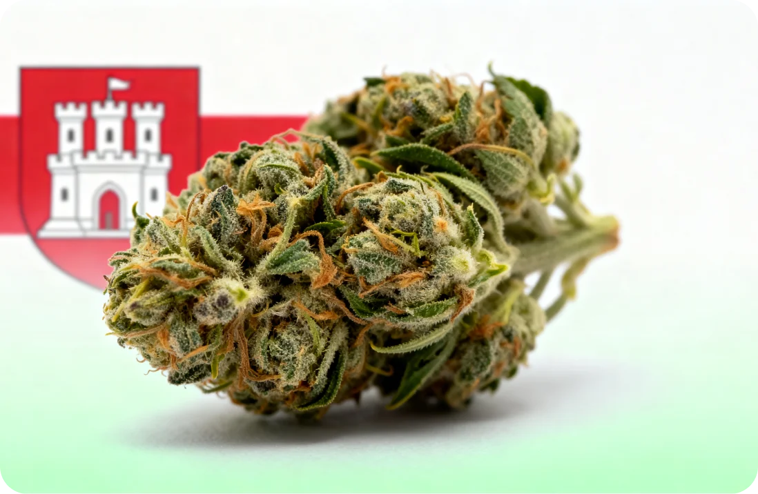 Medizinisches Cannabis in Hamburg