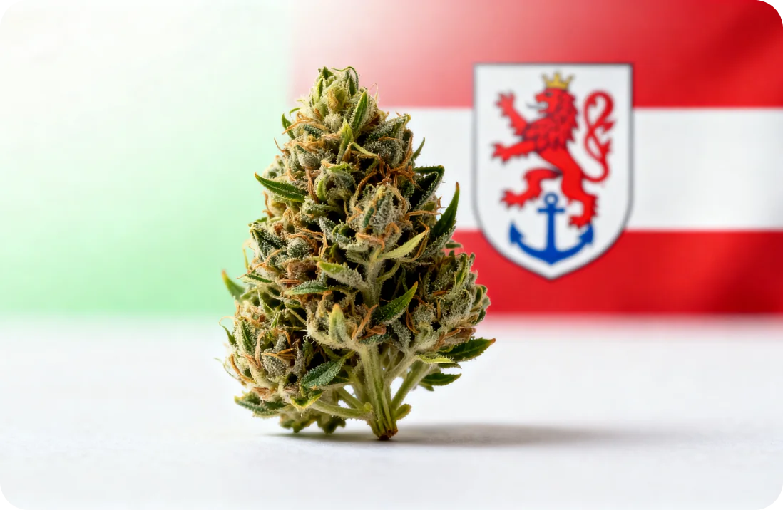 Medizinisches Cannabis in Düsseldorf: Alles, was Patienten wissen müssen