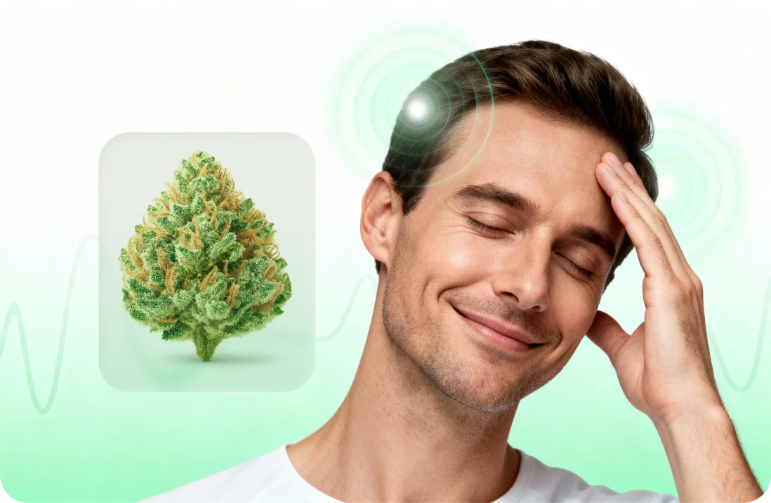 Cannabis gegen Migräne: Geschichte und Studien zur alternativen Behandlung