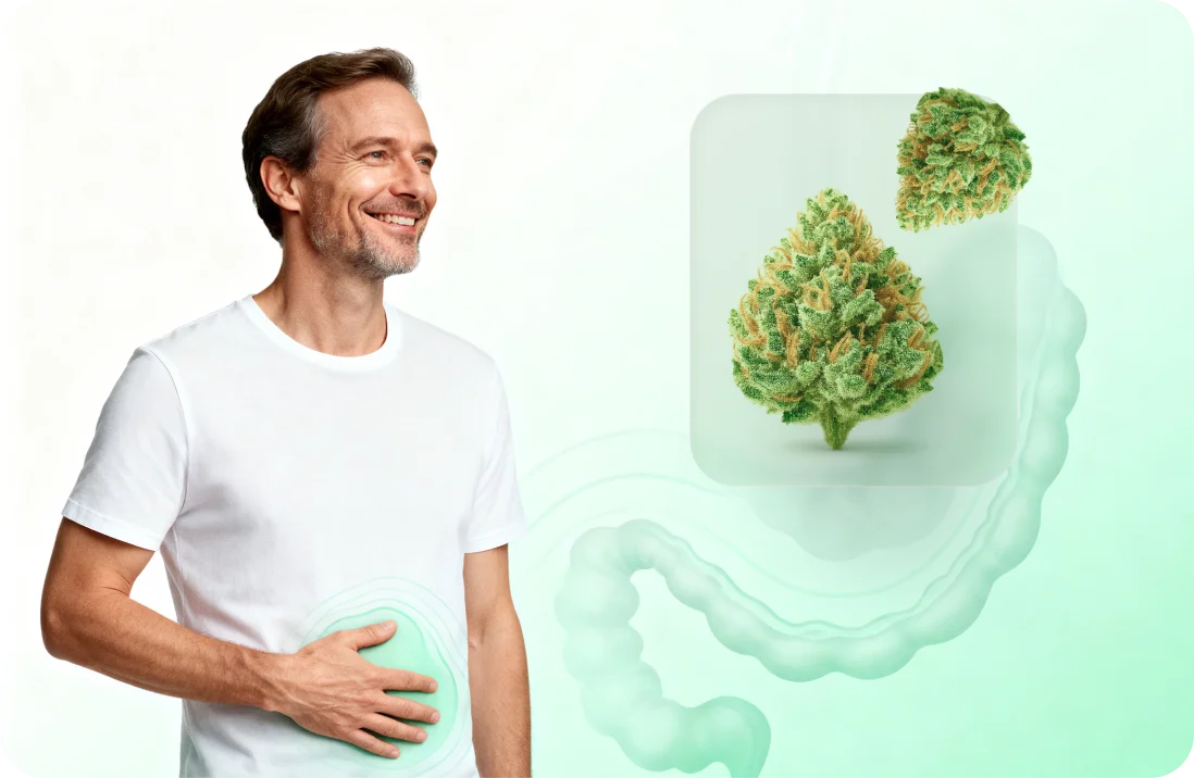 Medizinisches Cannabis bei Colitis ulcerosa: Potenziale, Behandlungen und rechtliche Aspekte