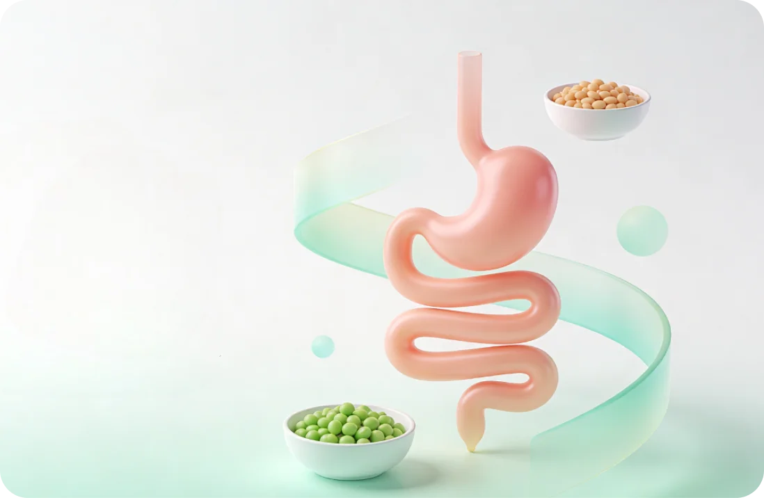 Ernährung bei Morbus Crohn – Was hilft wirklich?