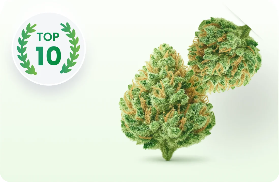 10 Tipps, um medizinisches Cannabis auf Rezept zu erhalten