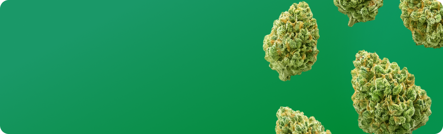 Cannabis-Therapie