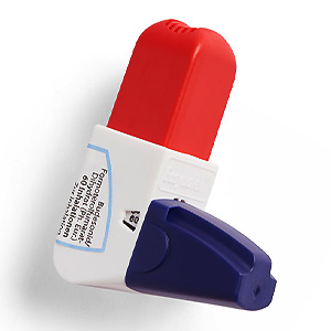 Bufori Easyhaler 320 9mcg spray