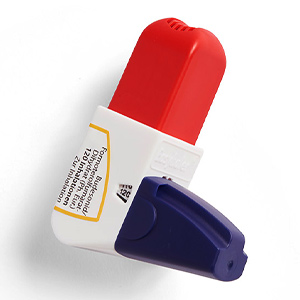 Bufori Easyhaler 80 4.5mcg spray