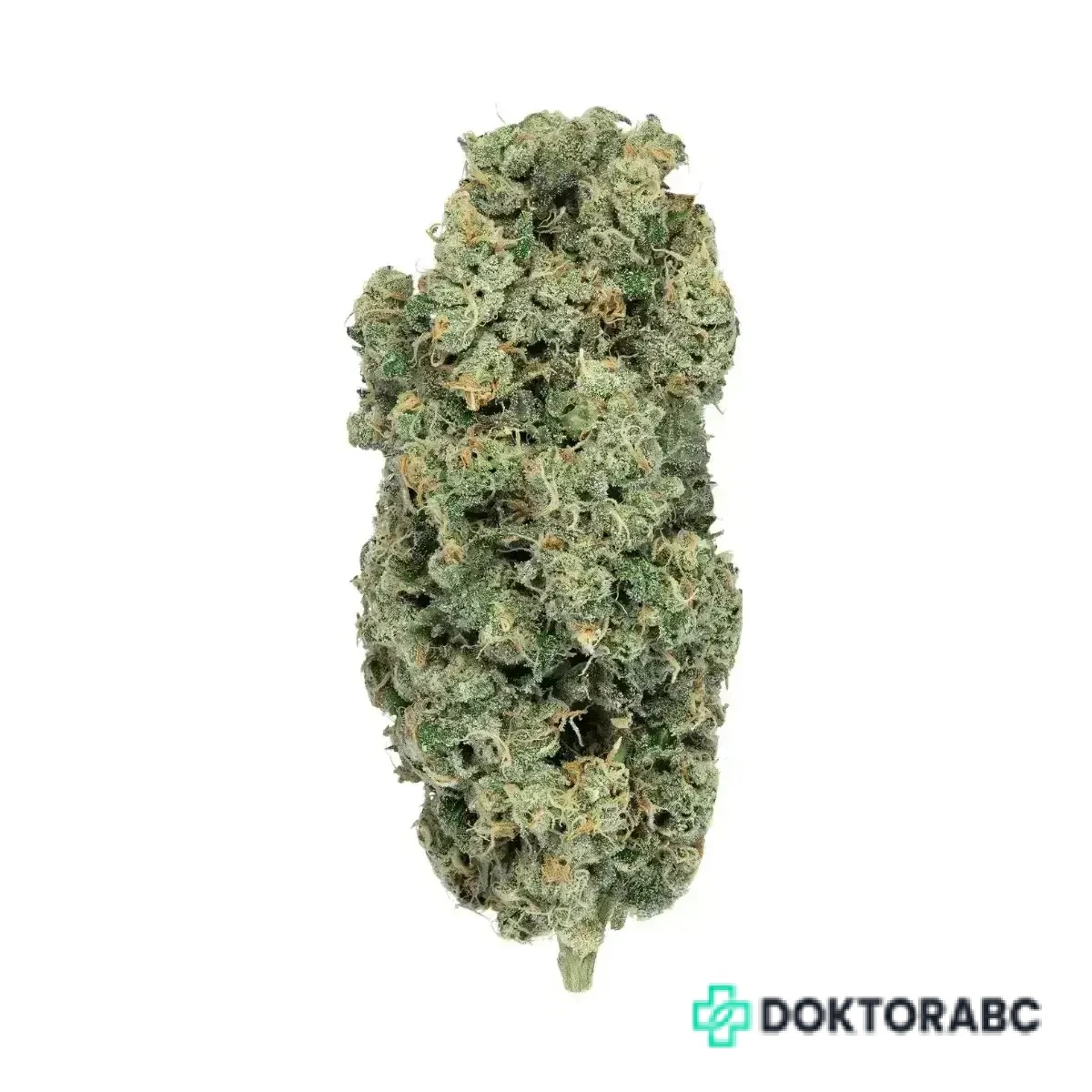 PhCann Exotics 28/1 Spritzer
