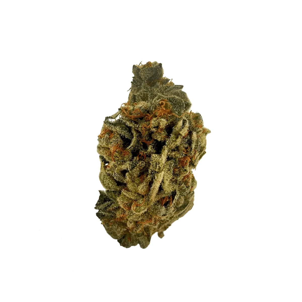 Sibanax GMO Zkittlez 24/1