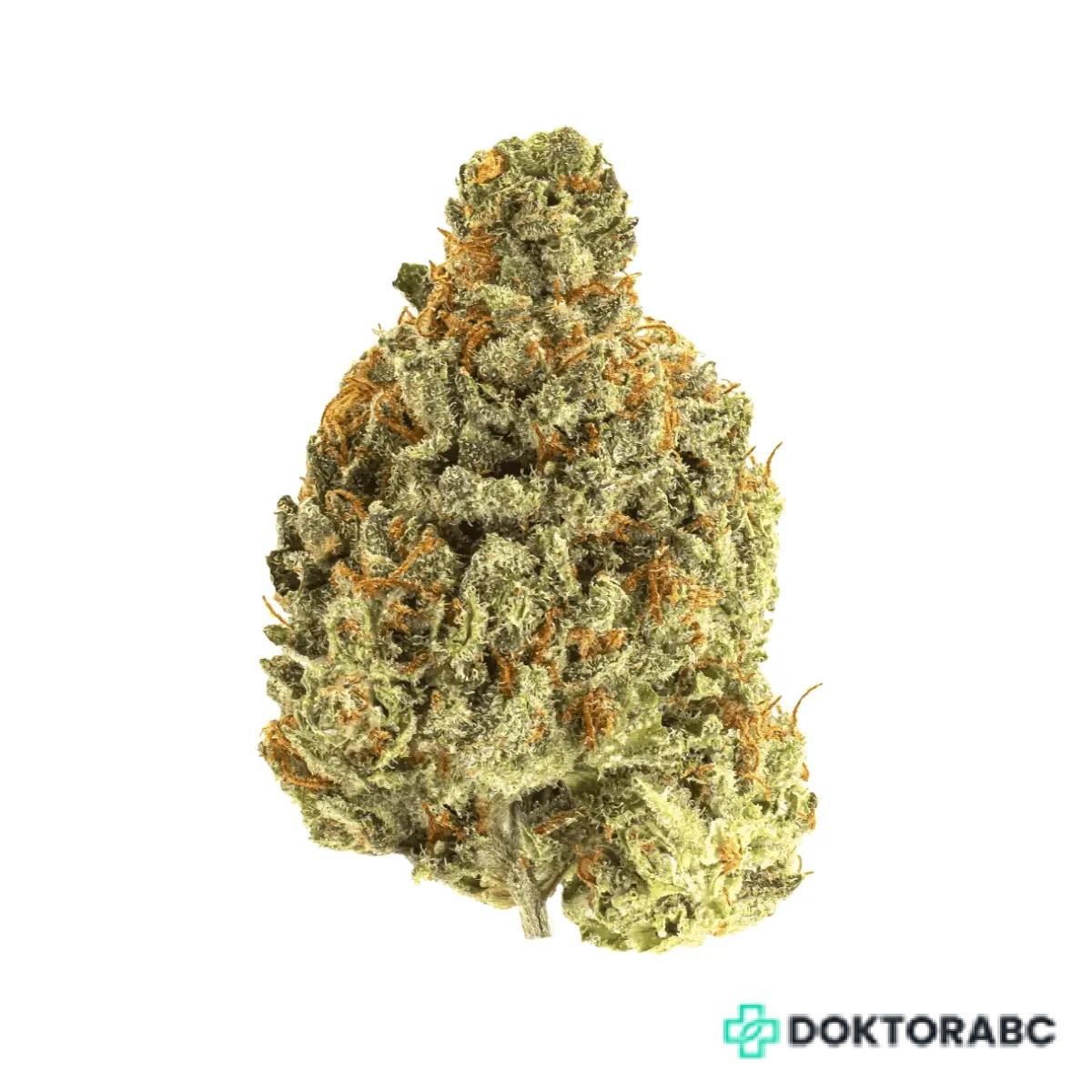 Cannamedical Sativa forte Crescendo Cookies