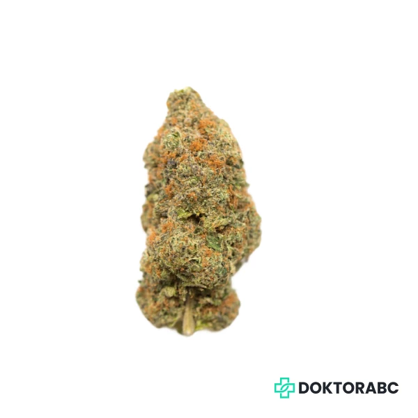 Pop up No.21 Tropicana Banana