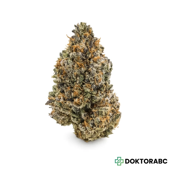 MGF 1000 Hindu Kush Zkittlez