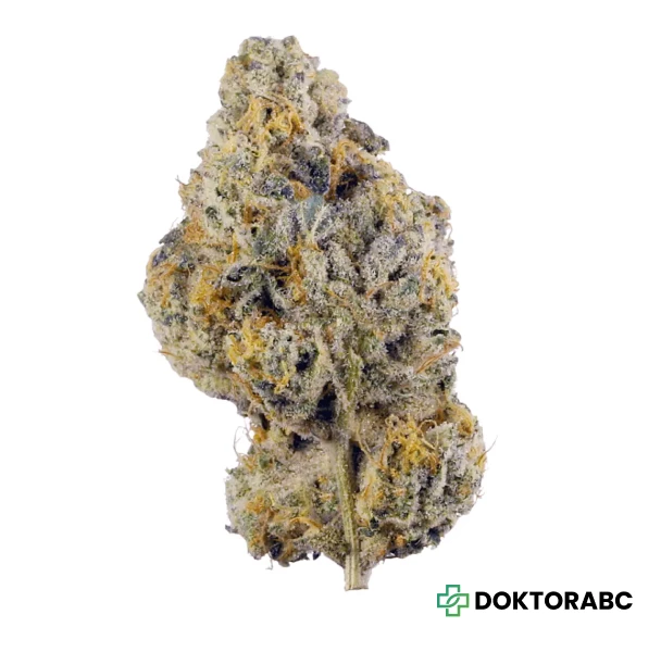 Luana Kush 24/1 Hippie Kush