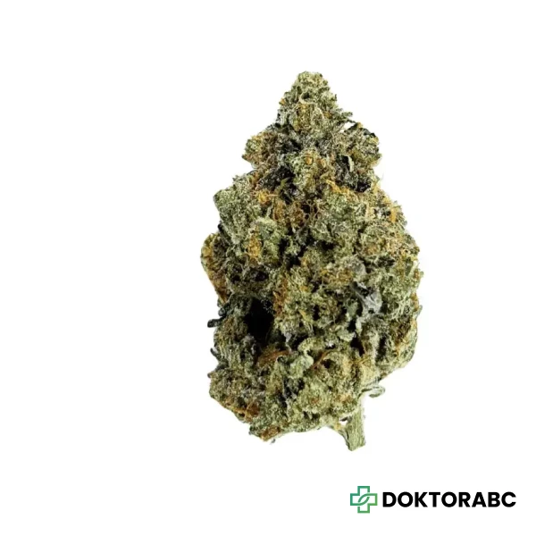 Avaay Signature 23/1 ARC Apple Rock Candy