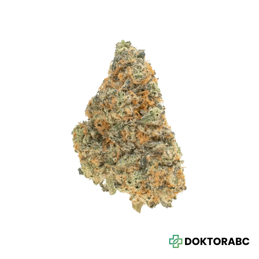 CANVAS SBF THC 27 Super Boof