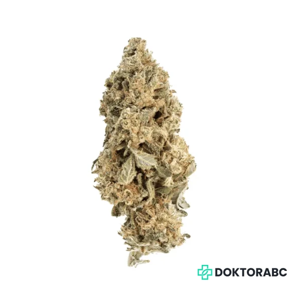 Cannabis flos 26/1 CSF Ku. Cape Venin