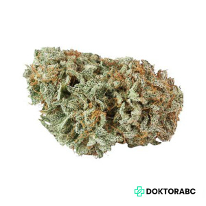 LIT 33/1 MKU Master Kush