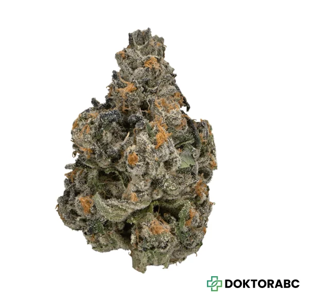 Kush Collective 30/1 CBH Cuban Haze