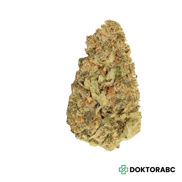 HiDealz 24/1 MS LIB Liberty Haze smalls