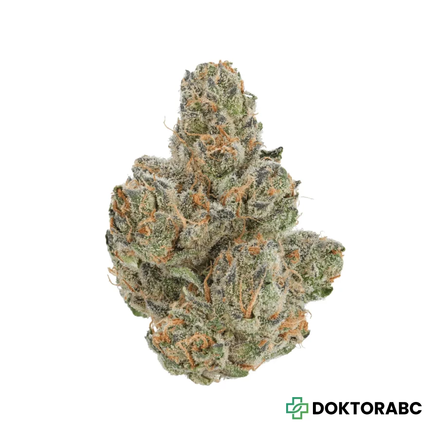 ZOIKS 26/1 BLBC Black Berry Chai