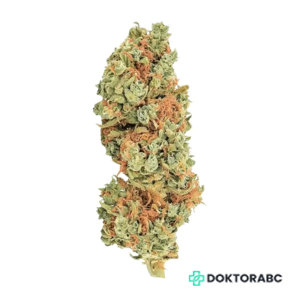 Cannabec Culture 27/1 TOJ Tricho Jordan