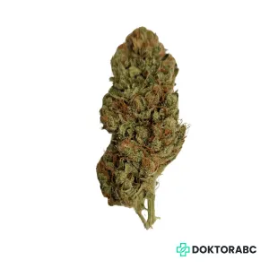 Medizinisches Cannabis Tangie