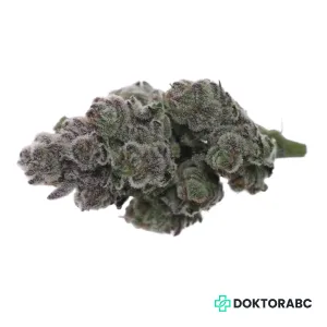 Medizinisches Cannabis Mimosa Evo