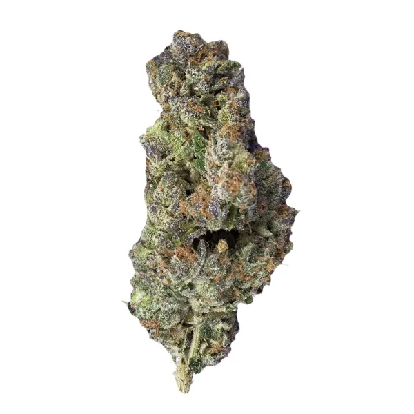 Medizinisches Cannabis Plum Driver