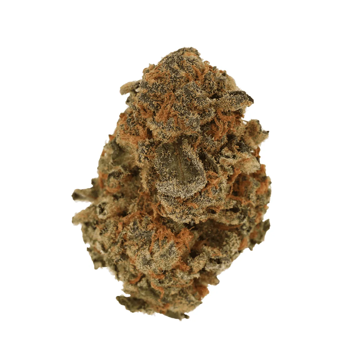 Medizinisches Cannabis Fast Orange