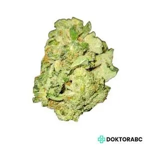 Medizinisches Cannabis Galaxy Walker OG