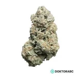 Medizinisches Cannabis Gelati Punch