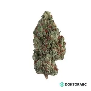 Medizinisches Cannabis Grape Mintz