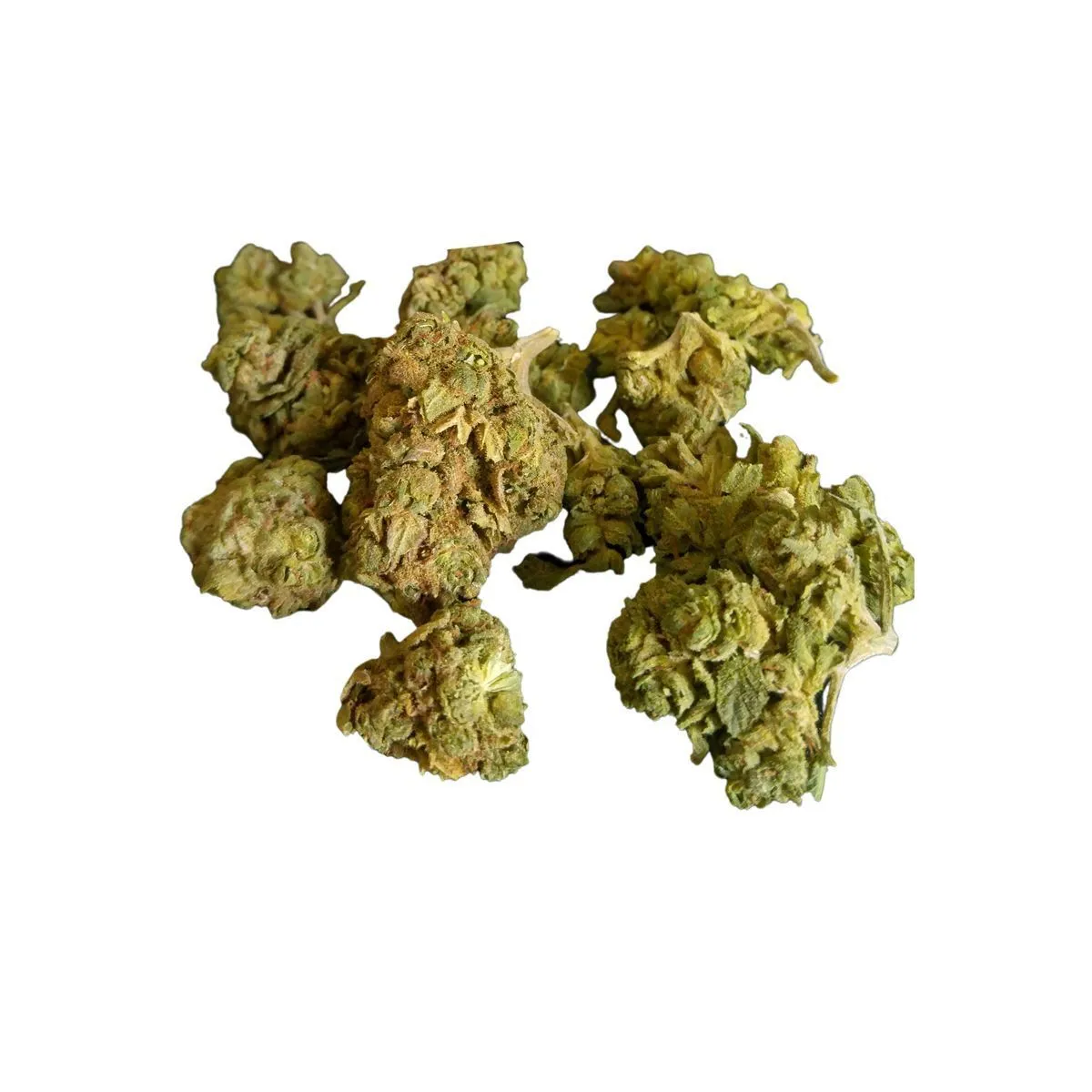 Medizinisches Cannabis Great Bear