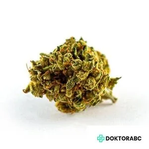 Medizinisches Cannabis Jean Guy