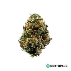 Medizinisches Cannabis Karel's Haze