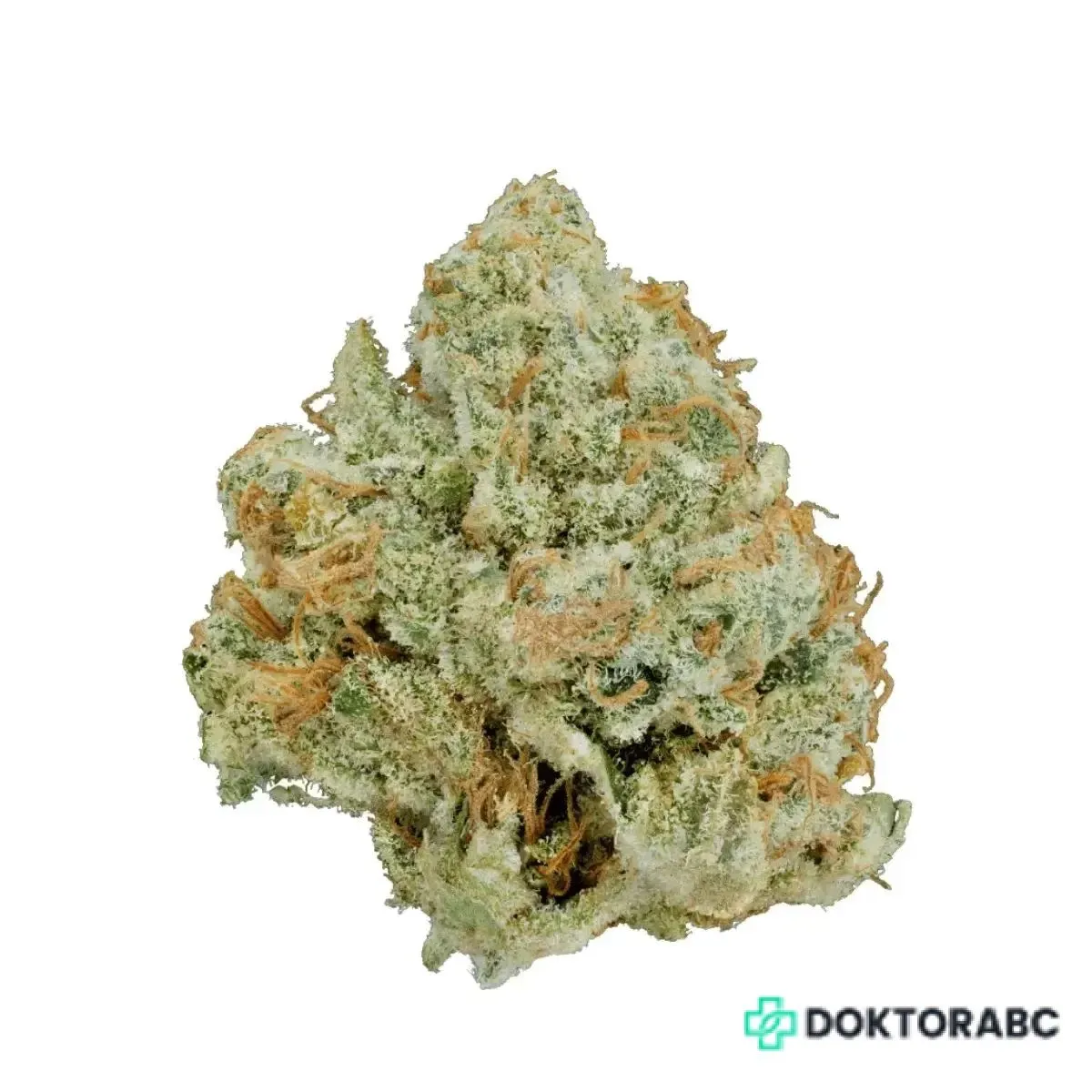 Medizinisches Cannabis Kings Kush