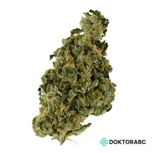 Medizinisches Cannabis La Bomba