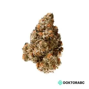 Medizinisches Cannabis Mandarin Cookies