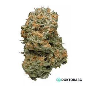 Medizinisches Cannabis Kush Mintz