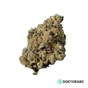 Medizinisches Cannabis NYC Diesel
