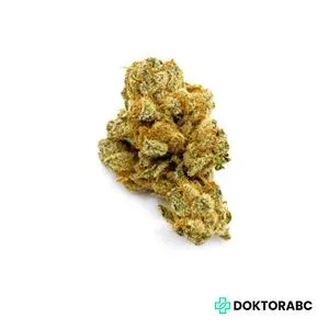 Medizinisches Cannabis Orange Velvet